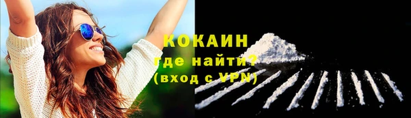 шишки Балабаново
