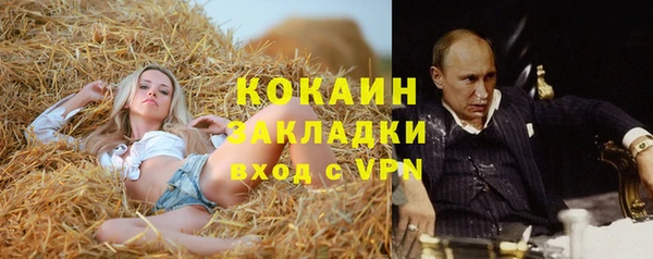шишки Балабаново