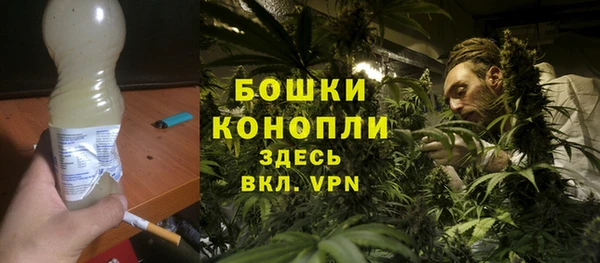 шишки Балабаново