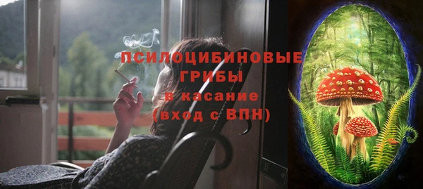 шишки Балабаново