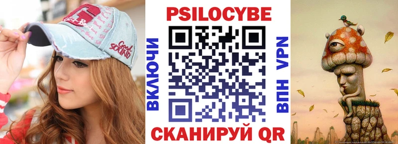 Купить где  Грязовец  Галлюциногенные грибы Psilocybe 